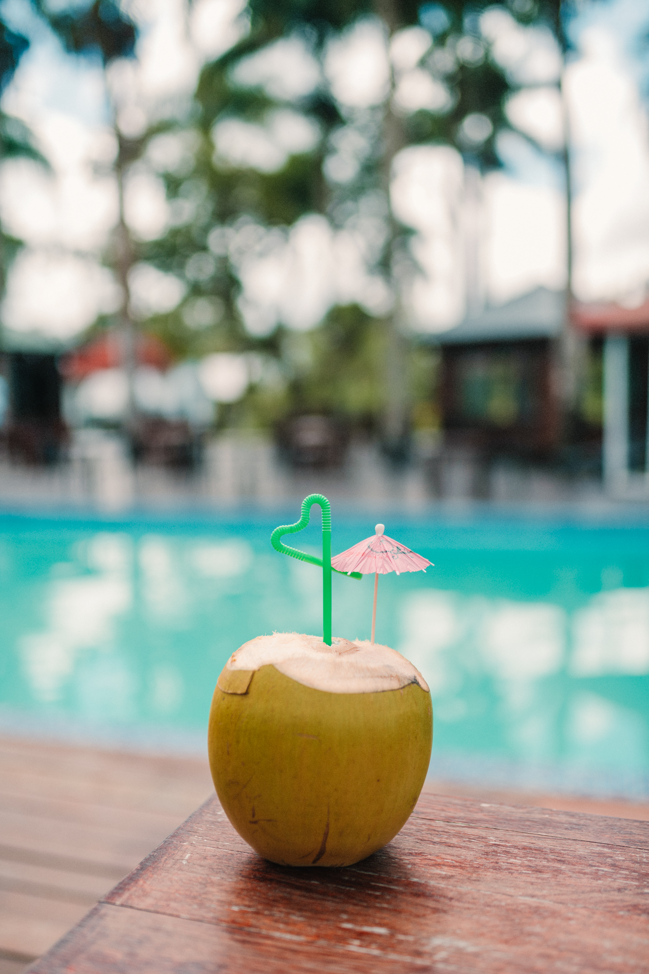 DAMIONTHAKOER-PLANTAGE-RESORT-FREDERIKSDORP-2024-311